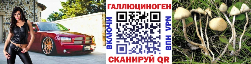 Псилоцибиновые грибы MAGIC MUSHROOMS  цена   KRAKEN онион  Полярный 